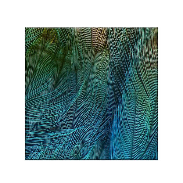 panou decorativ din sticla imprimata model pene multicolor