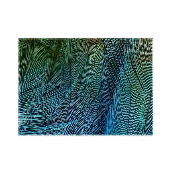 Sticla imprimata Pene