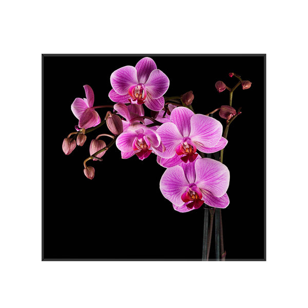 Sticla imprimata Orhidee mov