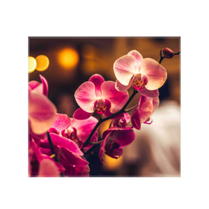 Sticla imprimata Orhidee roz