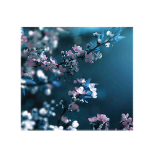 Sticla imprimata Flori Cires - fundal albastru